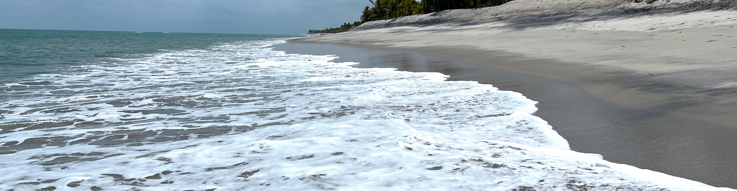 Panama City or the Beach? Why Some Property Owners Choose Both